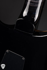 Paul Reed Smith Eddie’s Guitars Wood Library Custom 24 Ebony FB/Stained Neck Purple Mist