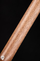 Martin D-X2E Molly Tuttle