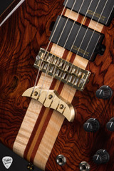 Alembic Further 6 Cocobolo Electric Guitar