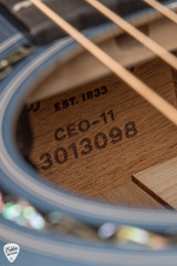 Martin CEO 11 number 239 of 1111 Acoustic Guitar