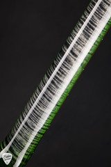 Paul Reed Smith Eddie’s Guitars Wood Library Studio Quilt Top/Stained Maple Neck/Brazilian FB Charcoal Jade Burst