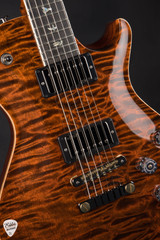  No Paul Reed Smith Eddie’s Guitars Wood Library McCarty 594 Singlecut Swamp Ash/Stained Figured Maple Neck Orange Tiger 