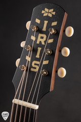 Iris JB Acoustic Guitar with Reclaimed Redwood and Indian Rosewood