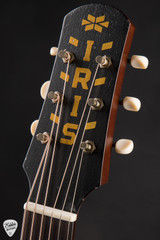 Iris MS-00 12 Fret Distressed – Mahogany