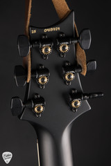 Paul Reed Smith Mark Holcomb - Purple Mist Wraparound Burst