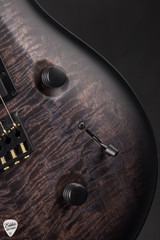 Paul Reed Smith Mark Holcomb - Purple Mist Wraparound Burst