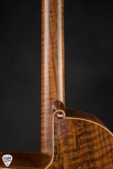 R Robinson Model 10C Acoustic Guitar with Adirondack Spruce and Claro Walnut