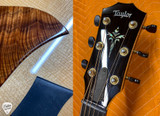 2020 Taylor Custom TF Lutz Spruce and Brazilian Rosewood Acoustic Guitar