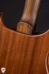 Paul Reed Smith Private Stock 12393 Custom 24 08 Buckeye Burl Cocobolo Electric Guitar