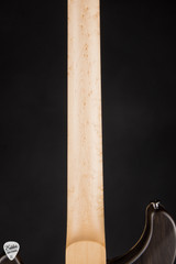 Paul Reed Smith Private Stock 12352 DGT David Grissom Trem Buckeye Burl Brazilian Electric Guitar