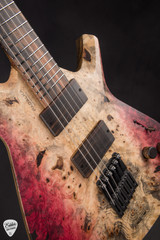 Padalka Parallax Electric Guitar with Buckeye Burl & Black Limba