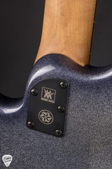 Ernie Ball Music Man DarkRay 5 - Starry Night