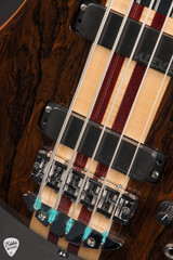 Alembic Essence 5 String Bass Guitar in Ziricote