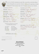 Alembic Essence 5 String Bass Guitar in Ziricote