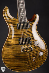 Paul Reed Smith Private Stock #12134 McCarty Tree of Life Brazilian Bronze Electric Guitar