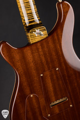 Paul Reed Smith Private Stock #12134 McCarty Tree of Life Brazilian Bronze Electric Guitar