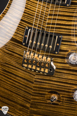 Paul Reed Smith Private Stock #12134 McCarty Tree of Life Brazilian Bronze Electric Guitar