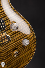 Paul Reed Smith Private Stock #12134 McCarty Tree of Life Brazilian Bronze Electric Guitar