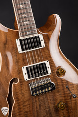 Paul Reed Smith Private Stock #12144 Custom 24 Semi Hollow Walnut/Brazilian Electric Guitar