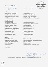 Gallagher Bluegrass Bell Modified Acoustic Guitar with Torrefied Adirondack Spruce & Indian Rosewood