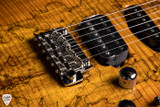 James Tyler Studio Elite HD-P Spalted Maple Honey Burst electric guitar