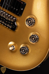 Paul Reed Smith Eddie’s Guitars Wood Library DGT/Swamp Ash/Torrefied Maple Neck/Ebony FB Egyptian Gold Metallic Top electric guitar