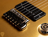 Paul Reed Smith Eddie’s Guitars Wood Library DGT/Swamp Ash/Torrefied Maple Neck/Ebony FB Egyptian Gold Metallic Top electric guitar