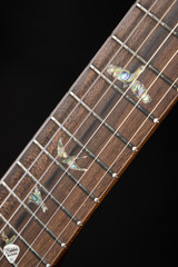 Paul Reed Smith Eddie's Guitars Wood Library Custom 24 Semi-Hollow Korina/Ziricote Aquableux Purple Burst electric guitar