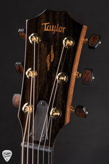 Taylor Custom #21 C14ce Grand Auditorium Acoustic Guitar with Dark Forest Century Cypress