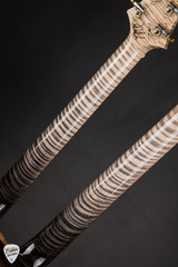 PRS Private Stock #12141 Brazilian Custom 22/12 String Double Neck - Frostbite Glow #415199