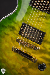 Gibson Custom Shop PSL Les Paul Ultima "Tree of Life" Iguana Burst electric guitar