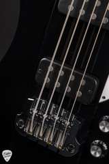 Gibson Thunderbird Bass Ebony bass guitar