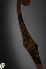 Collings MF Deluxe Mandolin Black Top with Adirondack Spruce & Flamed Maple