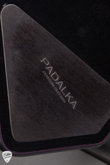Padalka Axion Electric Guitar in Dark Matter