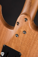 Mayones Aquila Emory 6 - Emory Burst Electric Guitar