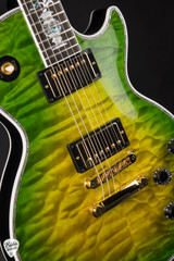 Gibson Custom Shop PSL Les Paul Ultima "Tree of Life" Iguana Burst electric guitar