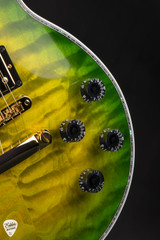 Gibson Custom Shop PSL Les Paul Ultima "Tree of Life" Iguana Burst electric guitar