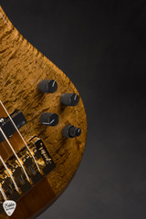 Spector NS-2 4 String Neck Thru Bass Guitar with Quilted Maple