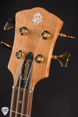Spector 50th Anniversary SB1  5 50 Curly Cherry Bass Guitar