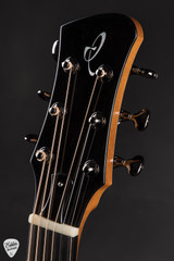 Irvin SP Signature Parlor Acoustic Guitar with Prince of Wales Western Red Cedar and Indian Rosewood