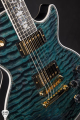 Gibson Custom Shop Dealer Select Les Paul Ultima 5A Tree of Life Nordic Blue Electric Guitar