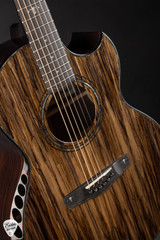 Kevin Ryan Elderwood Nightingale Grand Soloist  Sitka Spruce and Indian Rosewood Acoustic Guitar