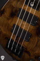 2026 Gould GGi4 Custom Natural Bass Guitar