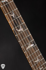 PRS Mango Top Limited Edition Custom 24 Electric Guitar