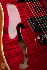 Paul Reed Smith Eddie's Guitars Wood Library Hollowbody II Piezo Brazilian - Red Tiger