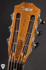 Taylor Custom TF Ancient Cypress and Brazilian Rosewood Acoustic Guitar