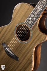 Taylor Custom TF Ancient Cypress and Brazilian Rosewood Acoustic Guitar