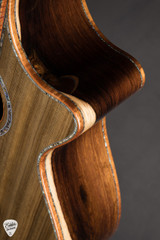 Taylor Custom TF Ancient Cypress and Brazilian Rosewood Acoustic Guitar