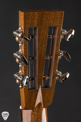 Collings DS1 Old Growth Sitka & Walnut Acoustic Guitar