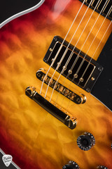 Gibson Custom Shop Dealer Select Les Paul Custom 5A Quilt Tree Of Life Fireburst electric guitar